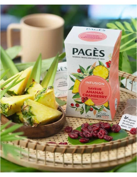 Infusion saveur Ananas & Cranberry Pagès – Boîte 20 sachets