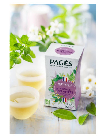 Infusion Bio Spéciale 5 Plantes Pagès - 20 Sachets - Café Dosette