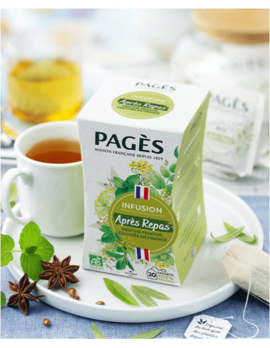 Infusion Bio Après Repas Menthe Anis Verveine Badiane Pagès - 20