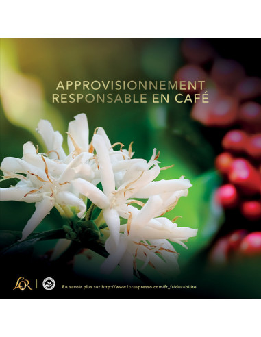 L’Or Barista Extra Long n°5 - 10 capsules XXL alu