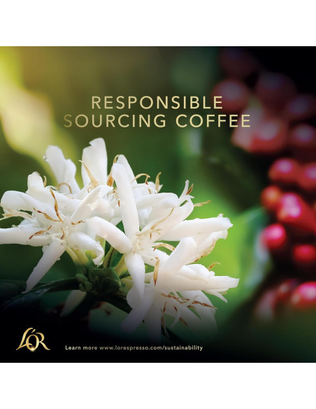 L’Or Double Barista Selection n°13 - 50 capsules XXL alu