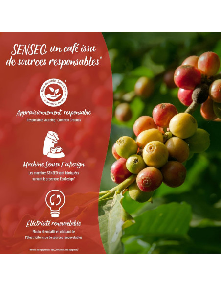 Senseo Classique (Format familial) - 54 dosettes - Café Dosette