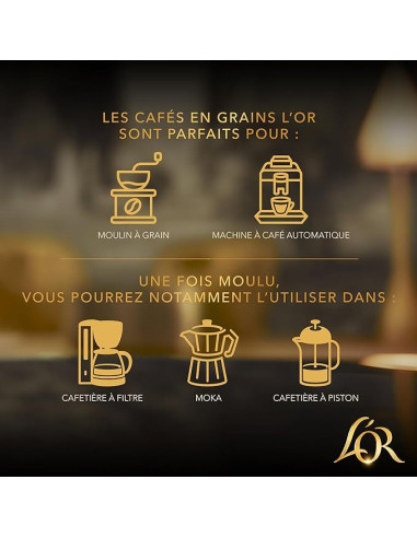 L’OR Terres d’Amazonie Café en Grains - 500 g
