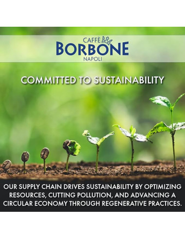 Café en grains Borbone Crema Classica - 1kg