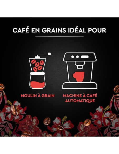 Café en grains Carte Noire Sélection Bio Honduras - 500gr - Café