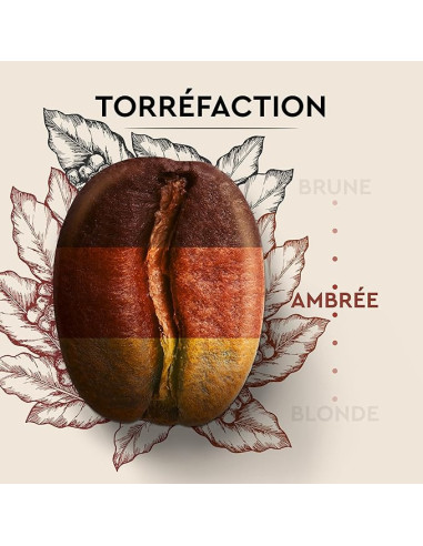 Café en grains Carte Noire Cuvée de caractère - 500g - Café Dosette
