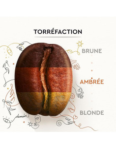 Carte Noire Grains Solidaires - 500 g 2