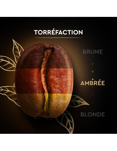 Café en grains Carte Noire Classique - 250g - Café Dosette