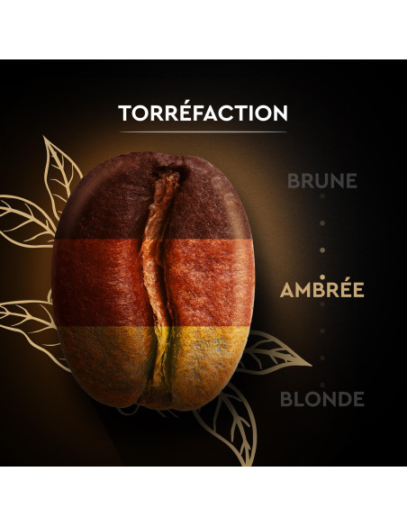 Café en grains Carte Noire Classique - 250g - Café Dosette