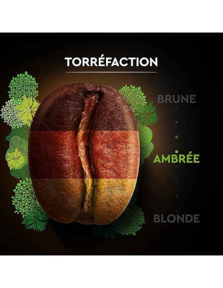 Café en grains Carte Noire Bio - 1kg - Café Dosette