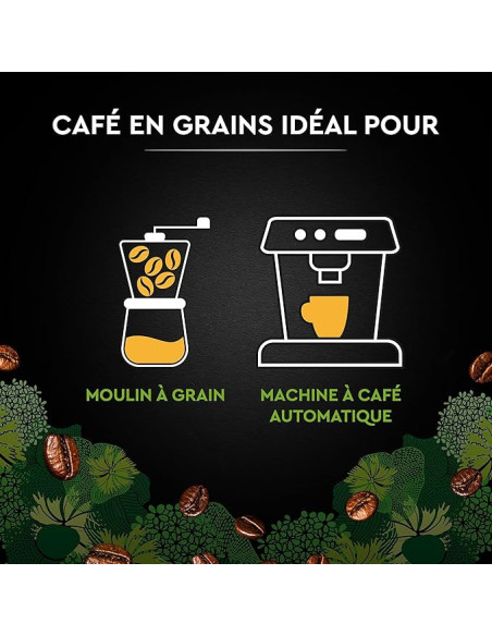 Café en grains Carte Noire Bio - 1kg - Café Dosette