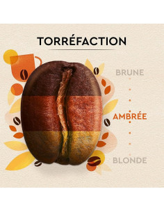 carte noire grains petit dejeuner 1kg 2