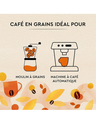 Café en grains Carte Noire Petit Déjeuner - 1kg - Café Dosette