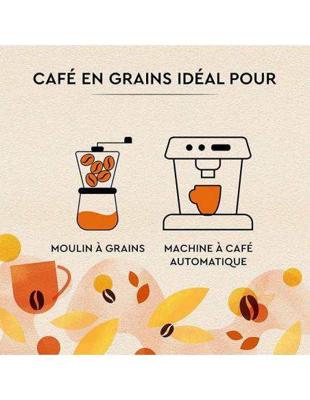 Café en grains Carte Noire Petit Déjeuner - 1kg - Café Dosette