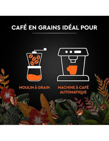 Café en grains Carte Noire SECRETS DE NATURE CATUAI ROMEX - 1kg - Café Dosette