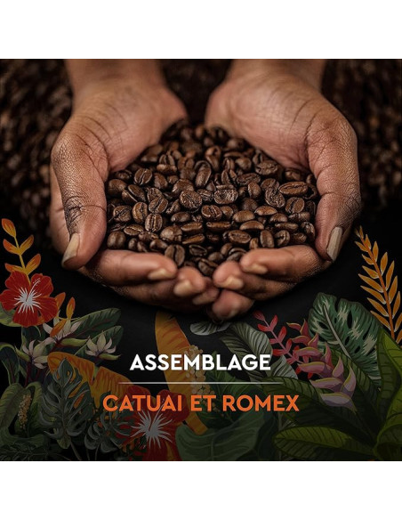 Café en grains Carte Noire SECRETS DE NATURE CATUAI ROMEX - 1kg - Café Dosette