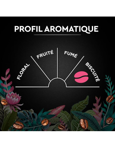 Café en grains Carte Noire SECRETS DE NATURE CONGUSTA - 1kg - Café Dosette