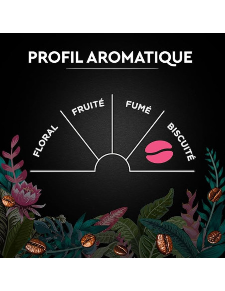 Café en grains Carte Noire SECRETS DE NATURE CONGUSTA - 1kg - Café Dosette