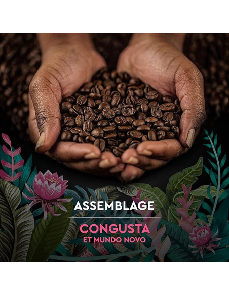 Café en grains Carte Noire SECRETS DE NATURE CONGUSTA - 1kg - Café Dosette