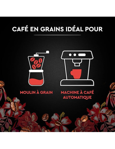 Café en grains Carte Noire Bio Honduras - 1kg - Café