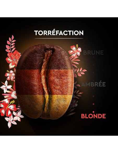 Café en grains Carte Noire Bio Honduras - 1kg - Café