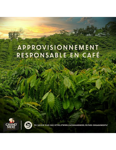Grand'Mère Puissant n°9 Café en Grains