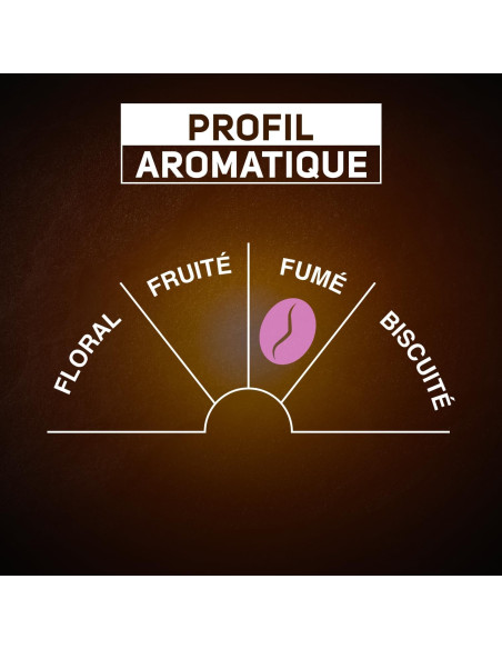 Carte Noire Corsé N°7 (Maxi format) compatible Senseo - 48