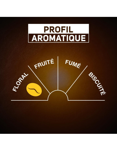 Carte Noire Classique N°5 (Maxi format) compatible Senseo - 48