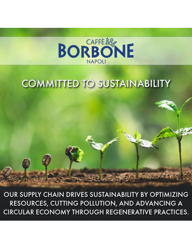 Café en grains Borbone Crema Superior - 12x1kg