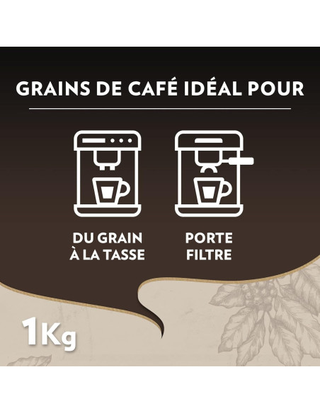 Lavazza Espresso Maestro BIO - 1kg de café en grains