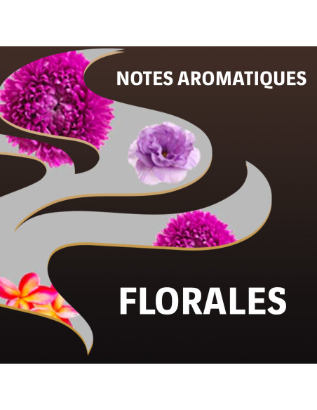 Lavazza Espresso Barista Perfetto - 1kg de café en grains