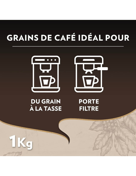 Lavazza Espresso Barista Perfetto - 1kg de café en grains