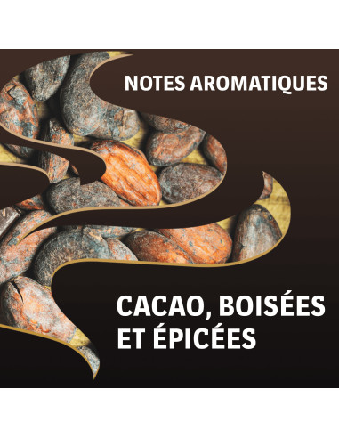 Lavazza Espresso Intenso - 36 dosettes pour Senseo®