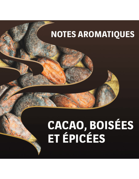 Lavazza Espresso Intenso - 36 dosettes pour Senseo®