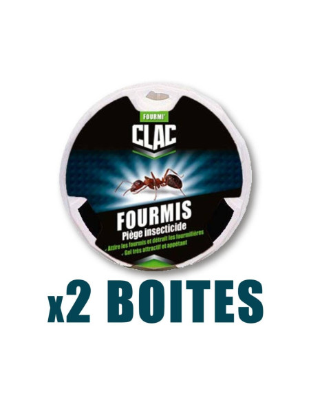 Station Fourmis - Piège Appât Professionnel TADAM