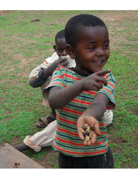 Mr Nelson Terramoka – Moulu bio 250 g – Pérou déca
