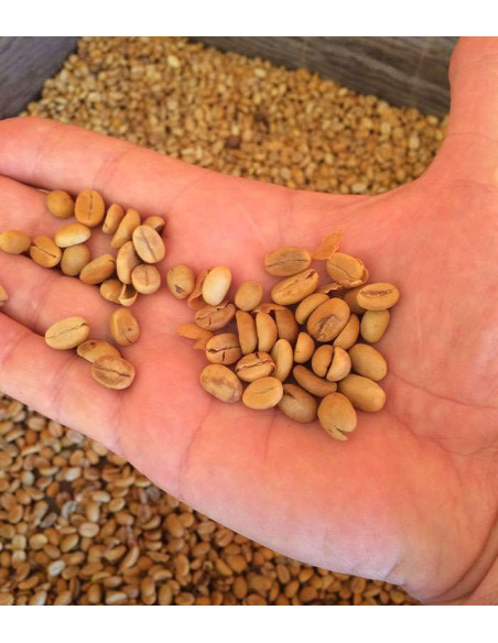Arthur Terramoka – Moulu bio 250 g – Brésil & Tanzanie