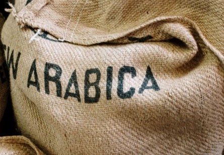 Le café Arabica : que faut-il savoir ?